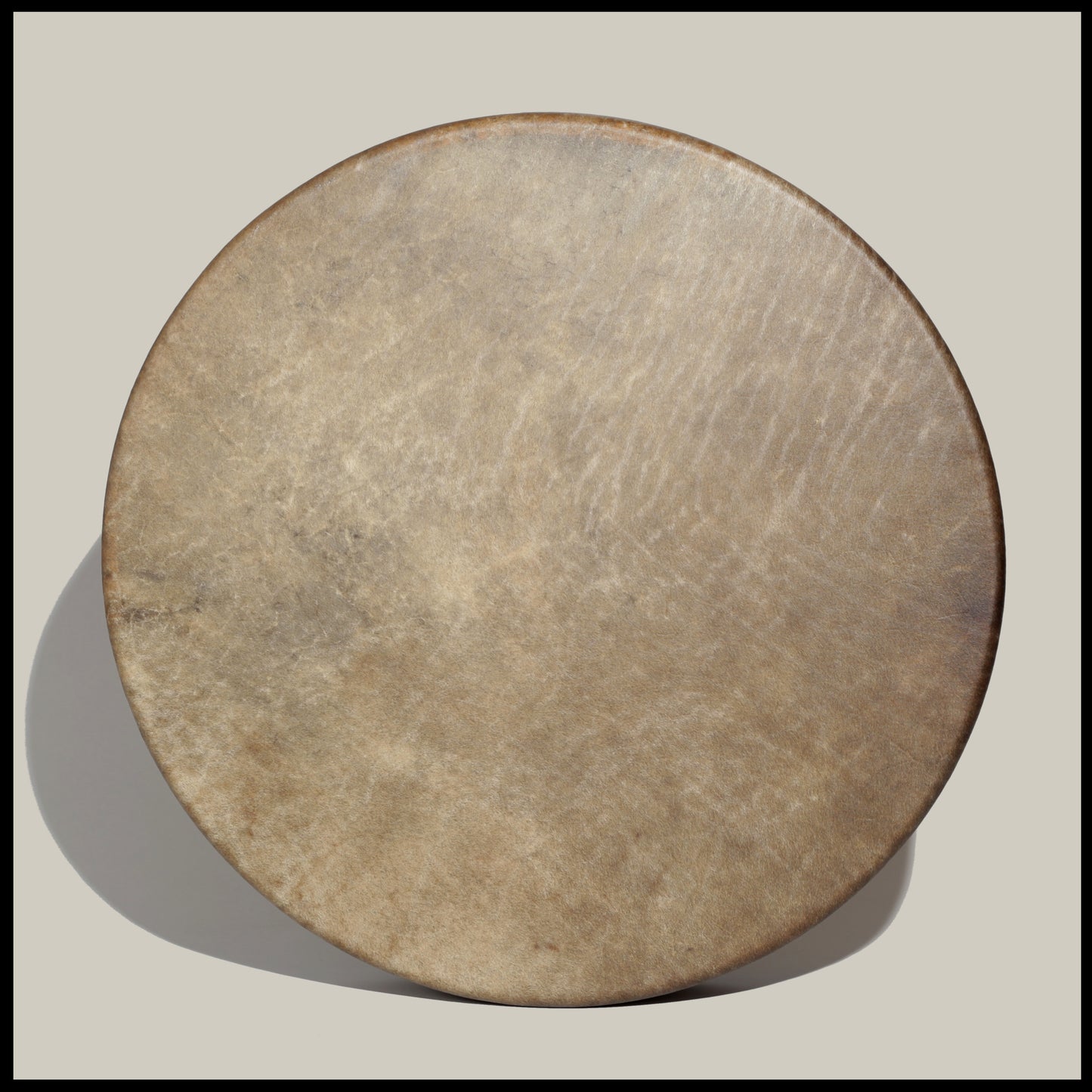 20” Unpainted Bison Hide Drum