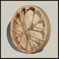 16” Elk hide drum
