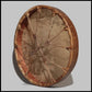 20” Unpainted Elk hide drum on Cedar frame